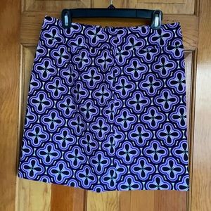 Ann Taylor skirt